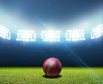 Exploring the impact of team press conferences on IPL betting