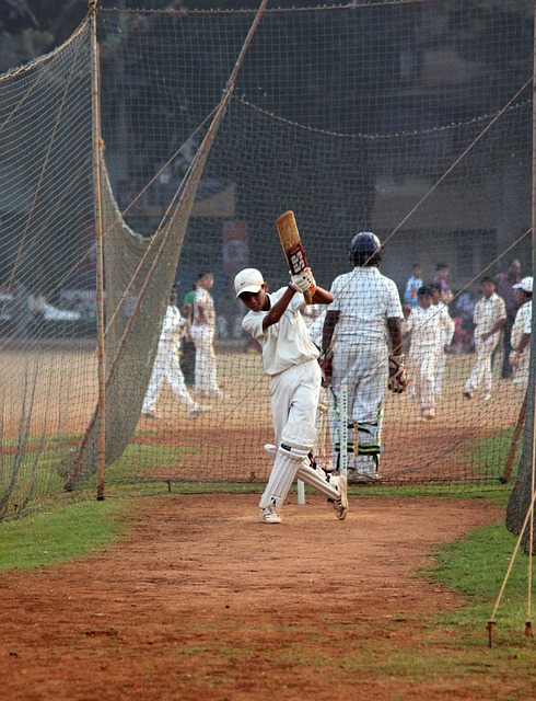 Cricket and Social Issues: Addressing Gender, Race, and Equality