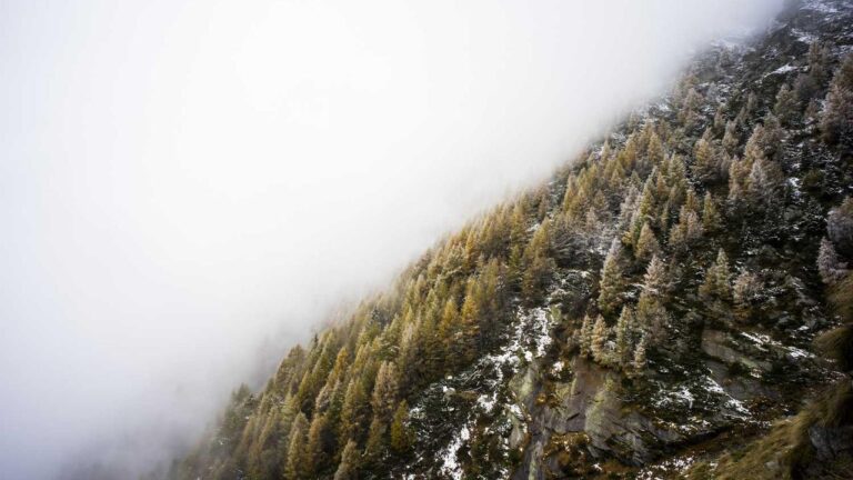 How To Use Https 11Xplay Com Pro For Login?